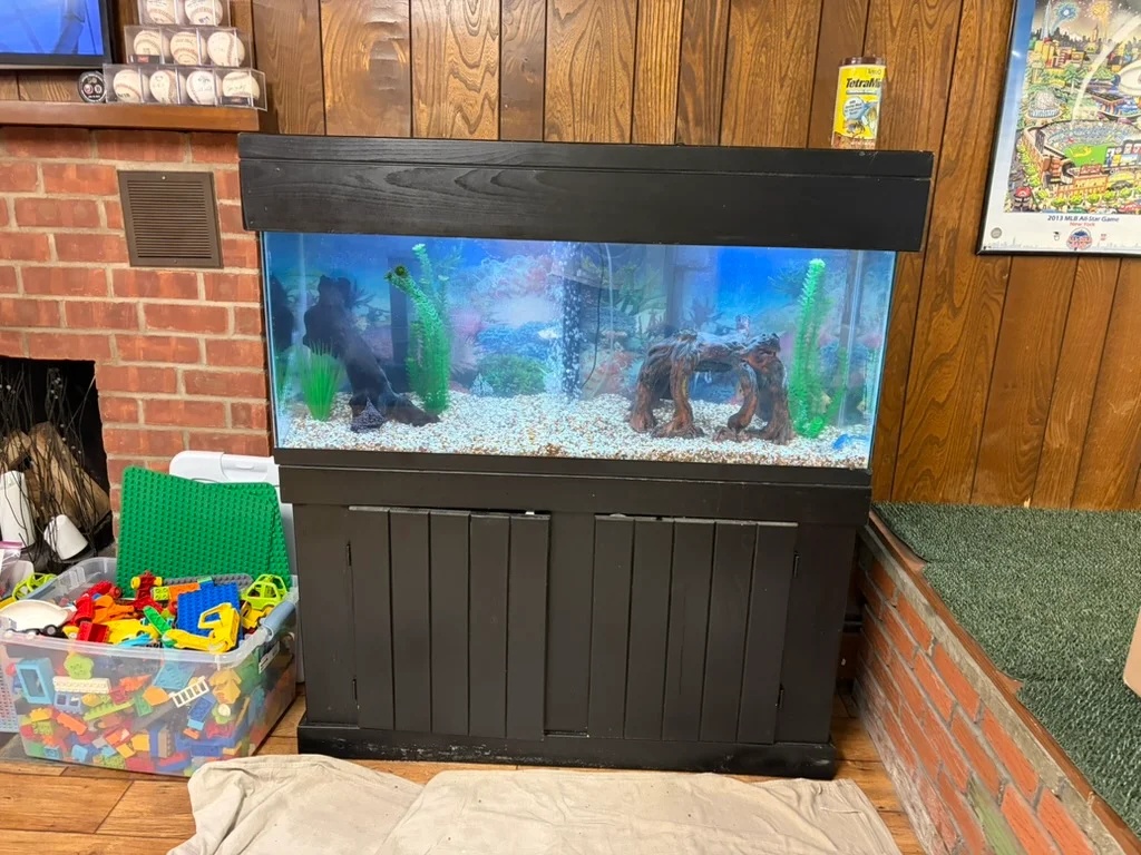The replacement aquarium set up on its black stand, with gravel, decorations, and a blue background.
